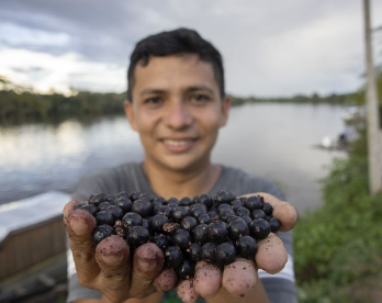 Produção comunitária na Amazônia