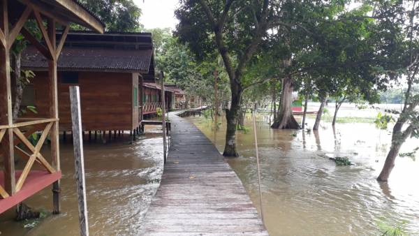 Casas alagadas devido a cheia no Amazonas.