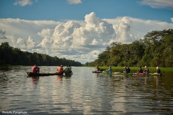 Pescadores fazendo o manejo de pirarucu, no interior do Amazonas.