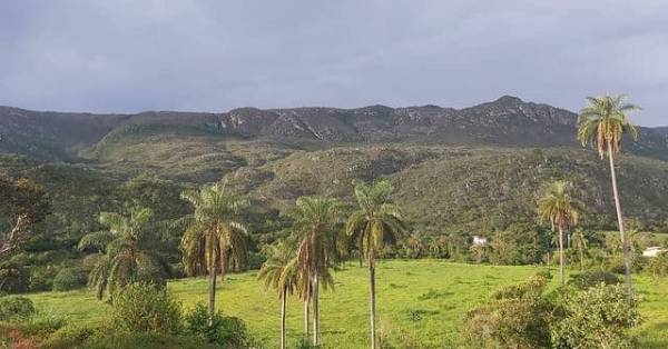 Paisagem com árvores e montanhas, em Minas Gerais.