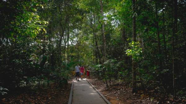 Pessoas caminhando em trilha.